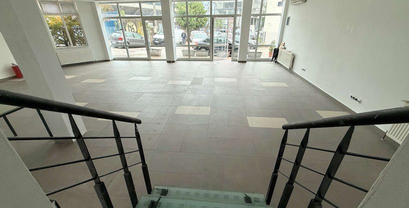 Commercial property Grbavica 8162